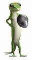 Geico image 2