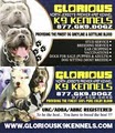 Glorious K9 Kennels image 1