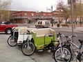 Green Leaf Pedicab LLC image 6