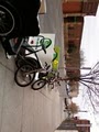Green Leaf Pedicab LLC image 8