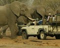 Guided Safaris Inc. image 6