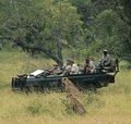 Guided Safaris Inc. image 7