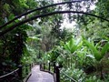 Hawaii Tropical Botanical Garden image 6