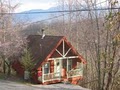 Honeymoon Hills Cabin Rentals image 4