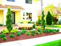 Integrated Landscaping image 1