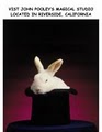 JOHN POOLEY'S WORLD OF MAGIC image 5