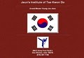 Jeun's Institute-Tae Kwon DO logo
