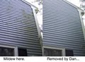 Just Plain Painting, Gutter Cleaning & Pressure Washing image 2