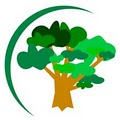 Kelly Outdoor Tree Care and Landscaping image 1