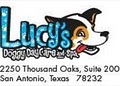 Lucy's Doggy Daycare & Spa image 6