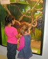 Lutz Children's Museum image 2