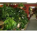 Misty's Florist & Greenhouse, Inc. image 6