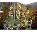 Misty's Florist & Greenhouse, Inc. image 8