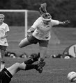 Northville Soccer Association image 3