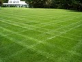 O'Sow Green Full Service Lawncare image 3