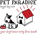 Pet Paradise Day Care Inc. image 3