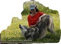 Pet Therapy with Reiki and Cranio-Sacral Therapy image 2