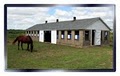 Petika's Horse & Pet Boarding image 8