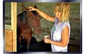 Petika's Horse & Pet Boarding image 9