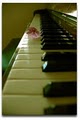 Piano Studios Virginia Reber image 5
