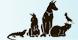 Providence Veterinary Medical Group logo