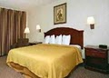 Quality Inn & Suites Airport image 3