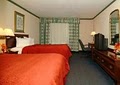 Quality Inn image 2