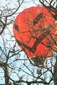 Quechee Balloon Rides image 1