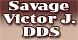 River Oaks Dental: Savage Victor J DDS logo
