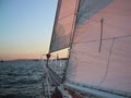 Shearwater Sailing is now Manhattan by Sail image 4