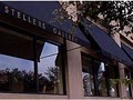 Stellers Gallery image 2