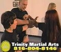 Trinity Martial Arts image 3