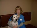 VCA Neshaminy Animal Hospital image 2