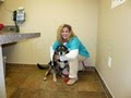 VCA Neshaminy Animal Hospital image 6
