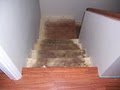 WISTERIA LANE FLOORING image 4