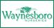 Waynesboro Nurseries logo