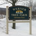 Werner's Christmas Tree Farm image 1