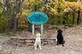 West Mountain Kennels, a Division of Pawling Mountain Club logo