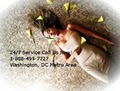 www.dccarpetscleaning.com image 2