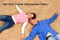 www.dccarpetscleaning.com logo