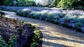 A1 Landscape & Design (Landscaper,Sprinklers,Irrigation,Sod) Temecula CA image 7