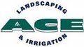 Ace Landscaping logo