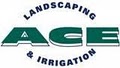 Ace Landscaping image 1