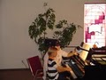 Advance to Music - Piano Lessons for Children and Adults image 2