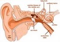 Advanced Hearing Care image 3