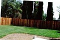 Affordable Landscaping image 2