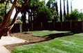 Affordable Landscaping image 3