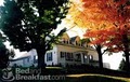 Alexandra Bed & Breakfast Inn image 10