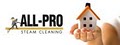 All Pro Steam Cleaning Llc image 2