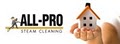 All Pro Steam Cleaning Llc image 3